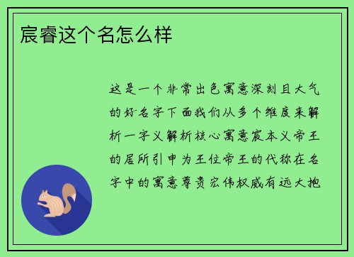 宸睿这个名怎么样